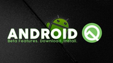 Android-Q Beta Features