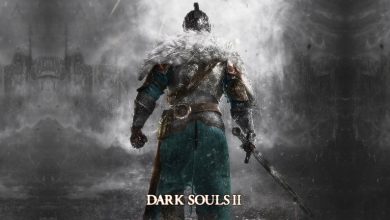 Dark Souls 2 Troubleshooting Guide