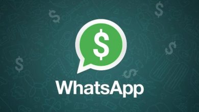 Earn Money Using WhatsApp
