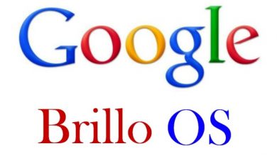 Google Brillo OS