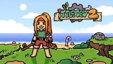 Ittle Dew 2 Save Game