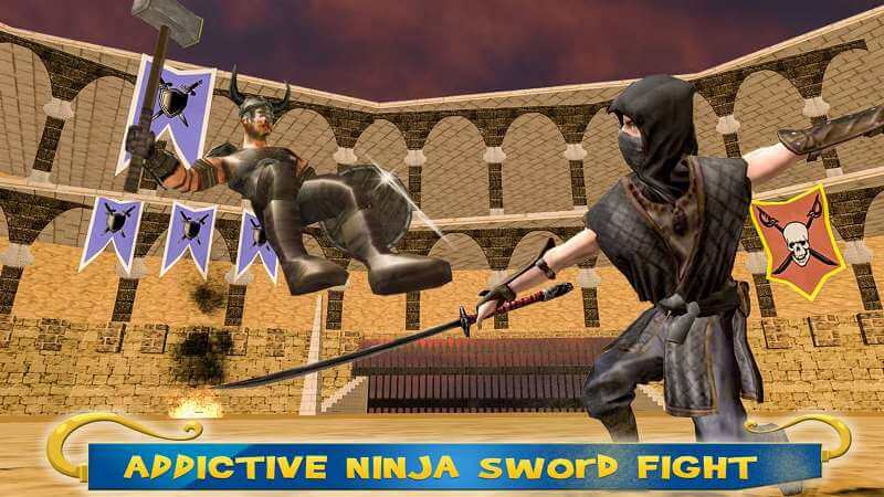 Ninja Warrior Sword Fight