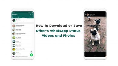 Save WhatsApp Status Videos and Photos