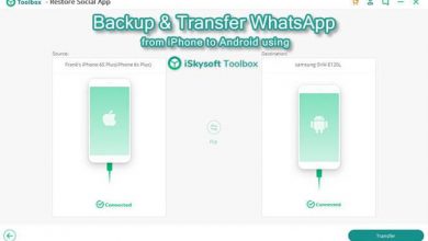 Skysoft Toolbox WhatsApp Transfer