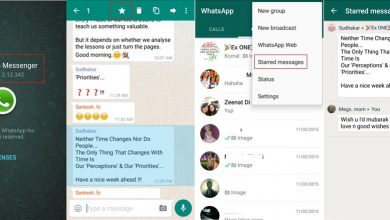 WhatsApp APK with Starred