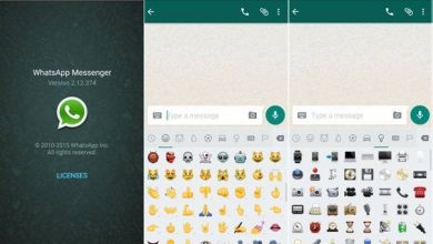 WhatsApp APK with new Emojis